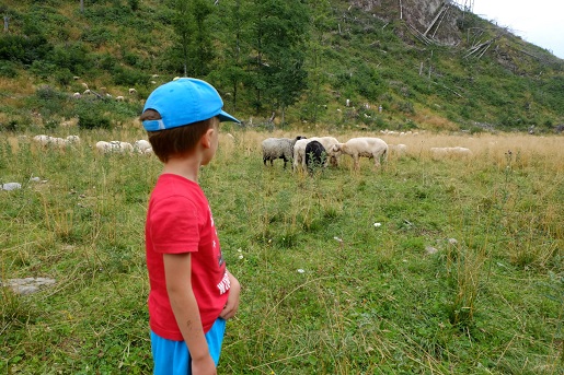 Dzien6 Dolina Kościeliska