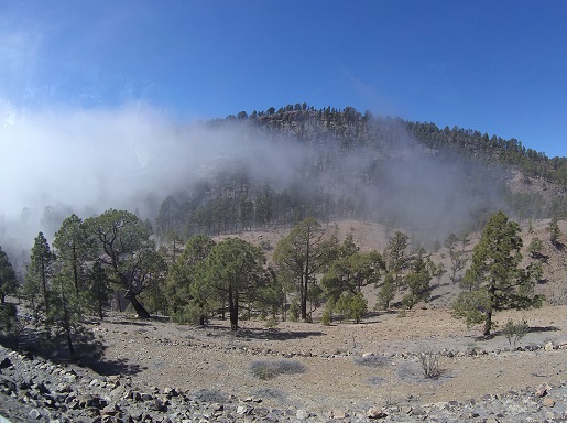 samochodem w chmury - dojazd na Teide opinie