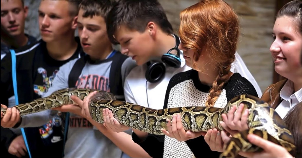 egzotyczne zoo kaszuby atrakcje