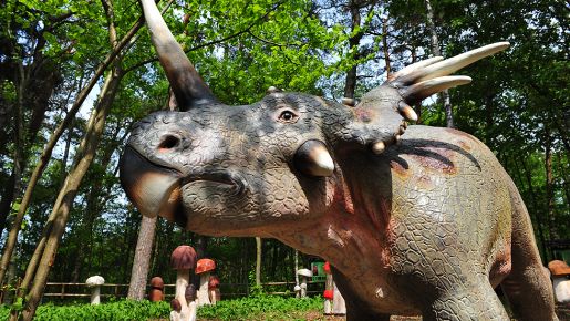 park dinozaurów Łeba rodzinne atrakcje