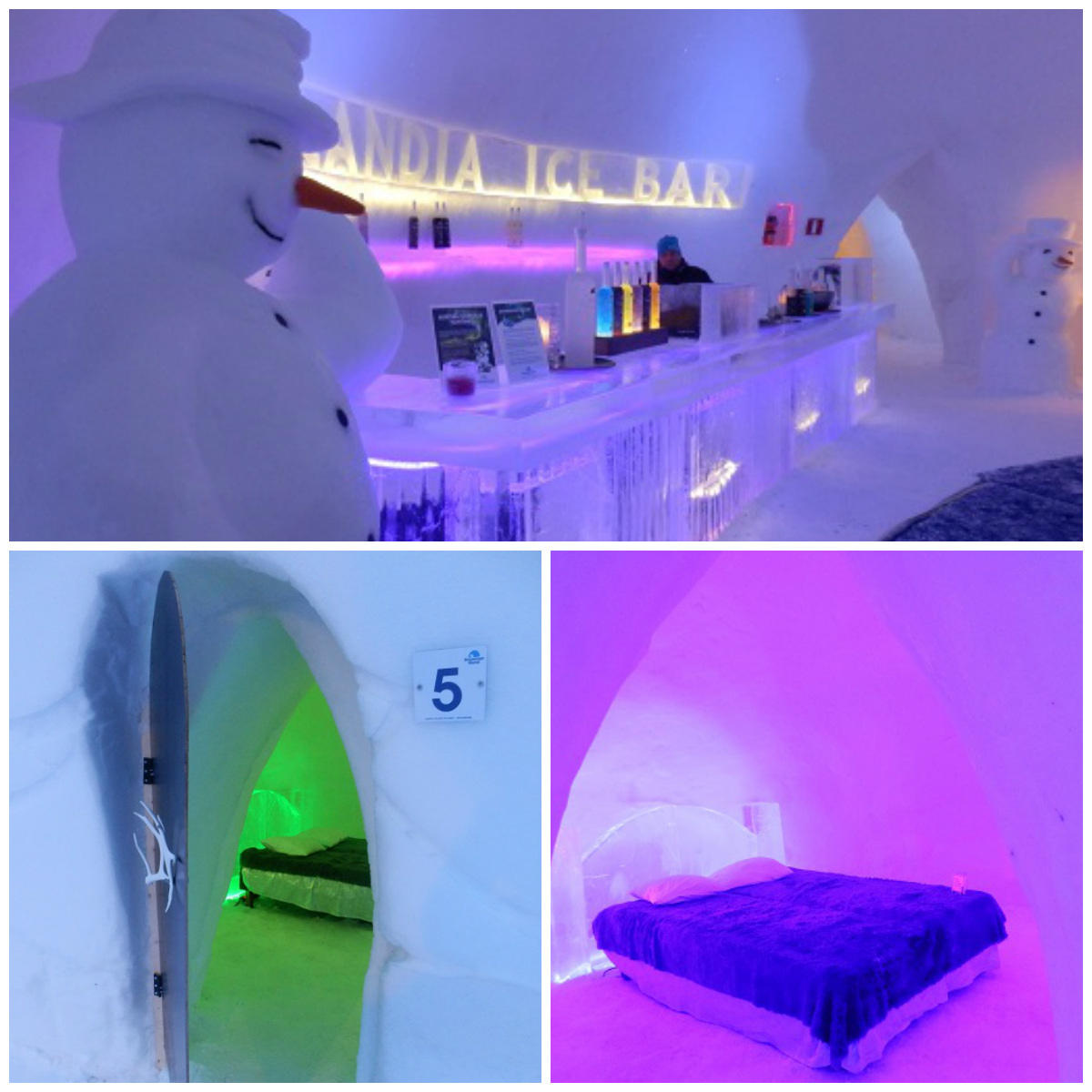 lodowy bar rovaniemi snowmanworld hotel iglo