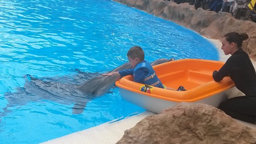 loro park plywanie z delfinami teneryfa opinie