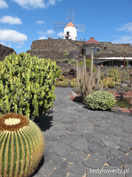 park kaktusów Lanzarote atrakcje dla dzieci opinie