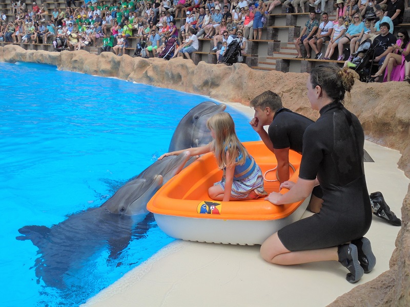 z dzieckiem na Teneryfie - pływanie z delfinami pokaz