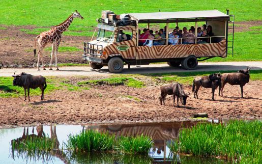 Serengeti Park atrakcje dla dzieci