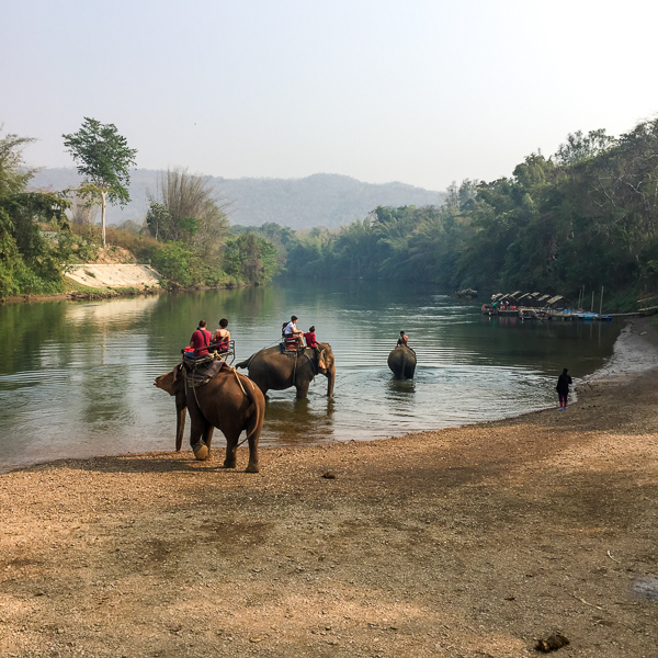 Sierociniec dla słoni Kanchanaburi Tajlandia opinie atrakcje