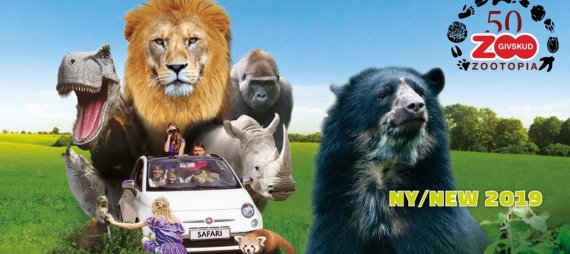 Givskud ZOO Safari 2019 atrakcje w okolicy LEGOLAND Billund co zobaczyć