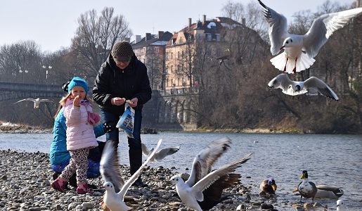 1 Bawaria atrakcje Monachium z dzieckiem konkurs dzieckowpodrozy