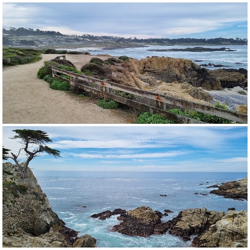 17 Mile Drive Monterey USA Kalifornia zwiedzanie wycieczka