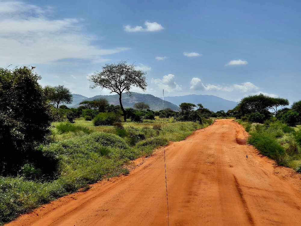 Kenia Safari Diani Mombasa z jakim biurem opinie Tsavo (17)