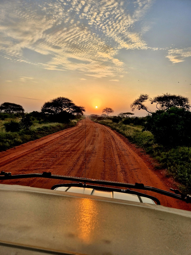 Kenia Safari Diani Mombasa z jakim biurem opinie Tsavo (4)