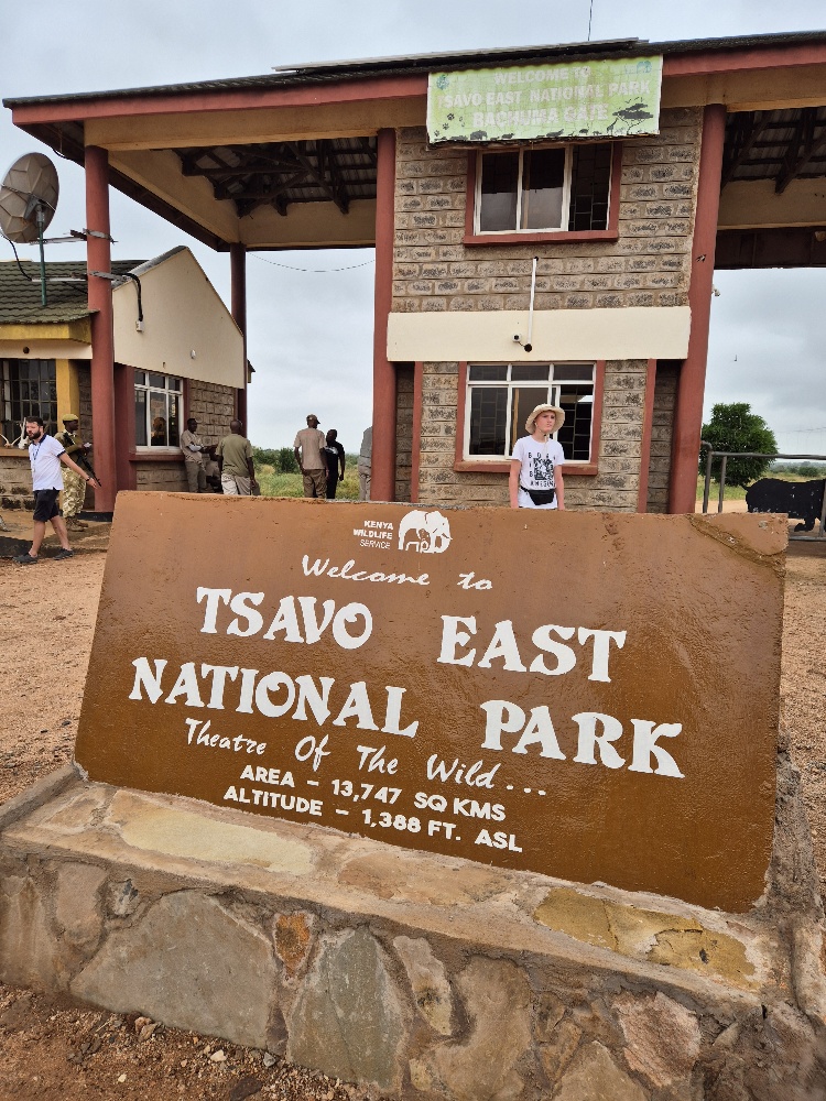 Park Narodowy Tsavo East Safari Kenia z Diani Beach jakie biuro 86