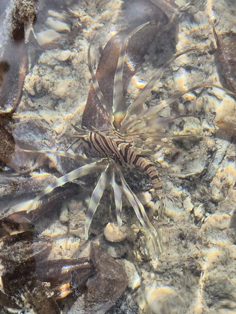 bezpieczeństwo Kenia Mombasa okolice