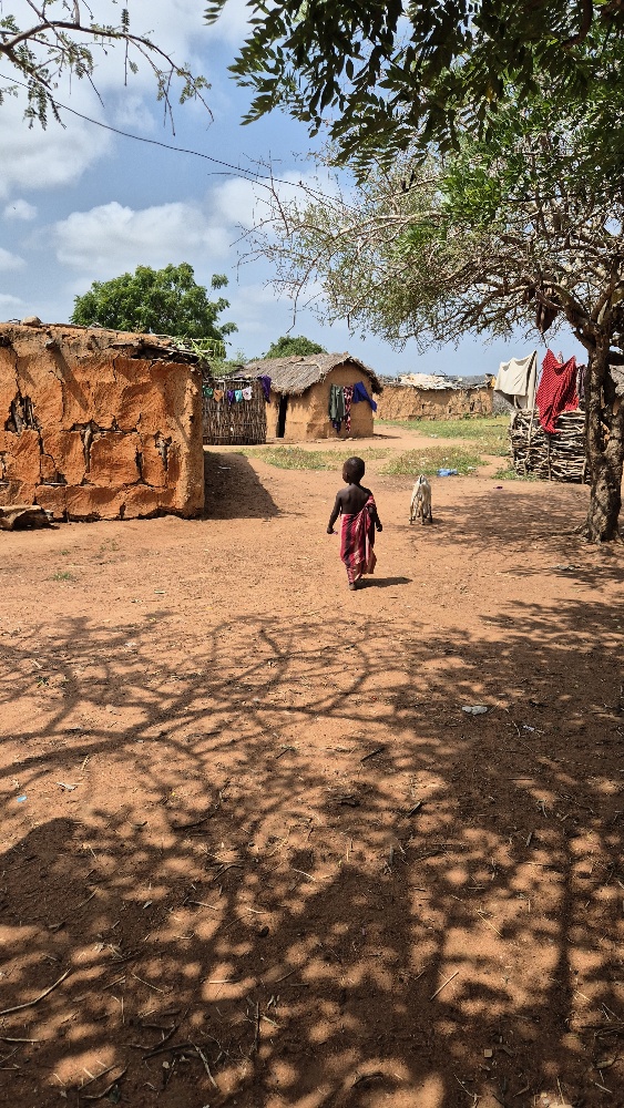 wioska Masajów Kenia opinie wycieczka zimą (1)