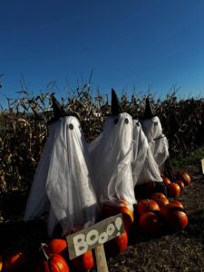 Farma Dyniowa Modlnica atrakcje dla dzieci opinie