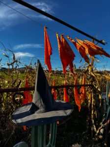 Farma Dyniowa blisko Krakowa