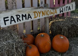 Farma Dyniowa Modlnica k.Krakowa