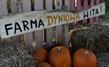 Farma Dyniowa Modlnica k.Krakowa