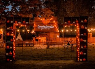 Dyniolandia – Farma Wuja Toma blisko Warszawy