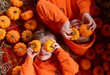 Farma dyniowa pod Gdańskiem – Dyniowe Love Rotmanka