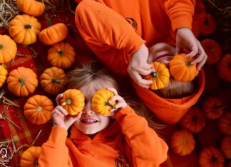 Farma dyniowa pod Gdańskiem – Dyniowe Love Rotmanka