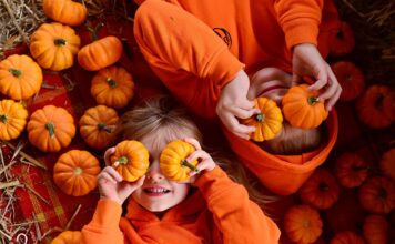 Farma dyniowa pod Gdańskiem – Dyniowe Love Rotmanka