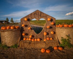 dyniowe love farma dyń Rotmanka atrakcje dla dzieci opinie