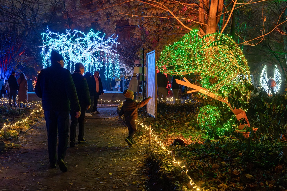 Lumagica Magiczny Botaniczny Warszawa Ogród Świateł 2025 2026 opinie 