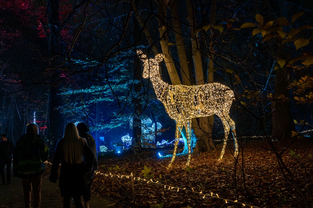 Magiczny Botaniczny Warszawa ogród Świateł opinie atrakcje z dzieckiem