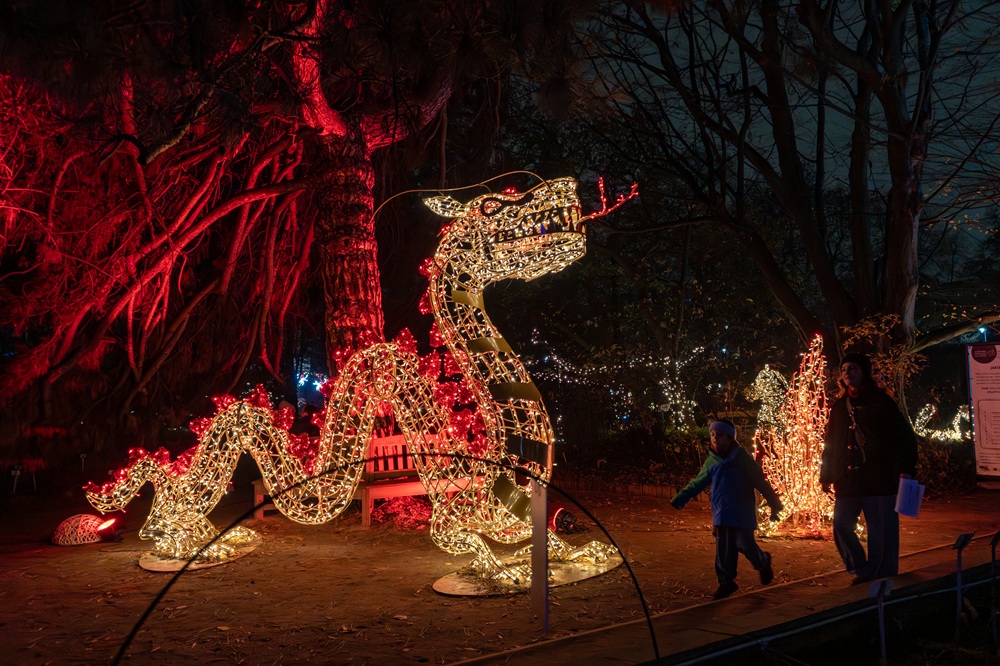 Magiczny Botaniczny Warszawa najlepszy ogród świateł
