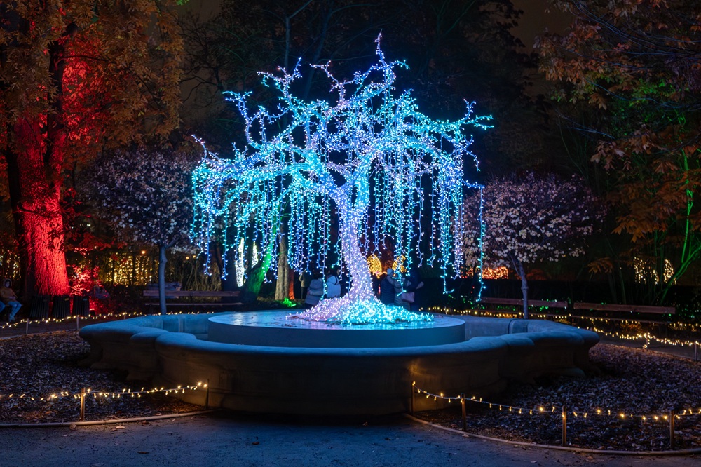 Lumagica Magiczny Botaniczny Warszawa Ogród Świateł 2025 2026 opinie atrakcje (6)
