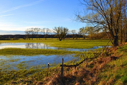 Rodzinne odkrywanie wiosny na polskich szlakach