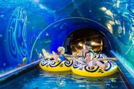 Aquapark Reda wakacje atrakcje dla dzieci opinie 2022