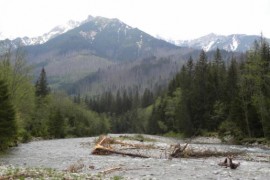 rodzinna wycieczka Słowacja Tatry opinie