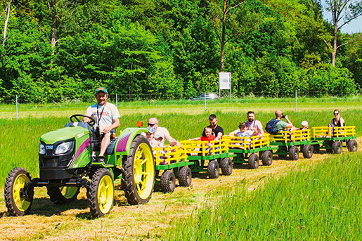 Farma-ALEXA-Leba-nowy-park-rozrywki-atrakcje-dla-dzieci-2 Farma-ALEXA-Leba-nowy-park-rozrywki-atrakcje-dla-dzieci-2