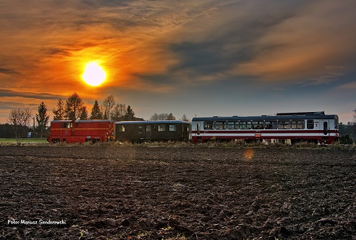 Górnośląska Kolejka Wąskotorowa