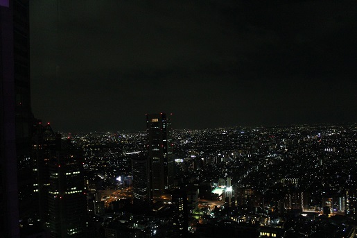 Japonia z dzieckiem opinie- zwiedzanie Tokio nocą