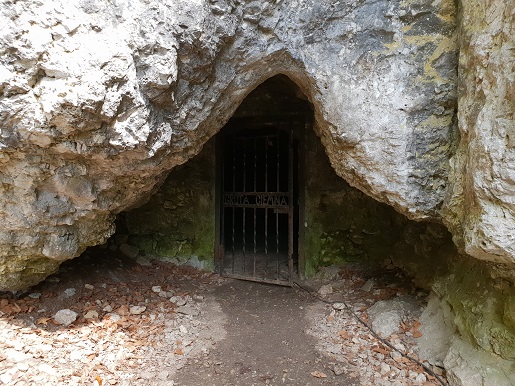 Jaskinia Ciemna Ojcowski Park z dzieckiem opinie ceny