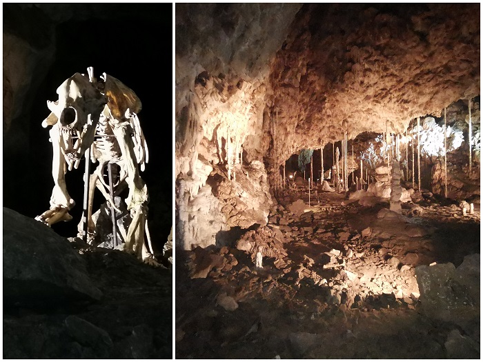 Jaskinia Katarzyńska Czechy zwiedzanie z dziekciem ceny opinie
