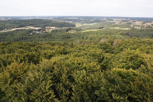 Kaszuby w 6 dni z dzieckiem