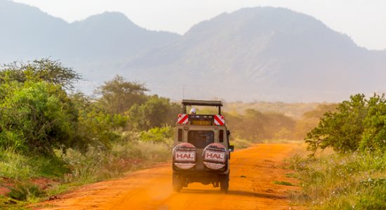 Kenia zimą z dzieckiem safari opinie
