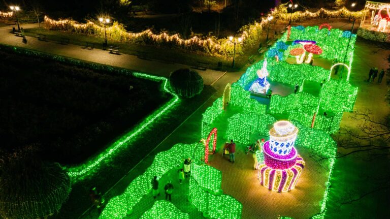 Ogród Świateł Łódź – Park Źródliska 2024