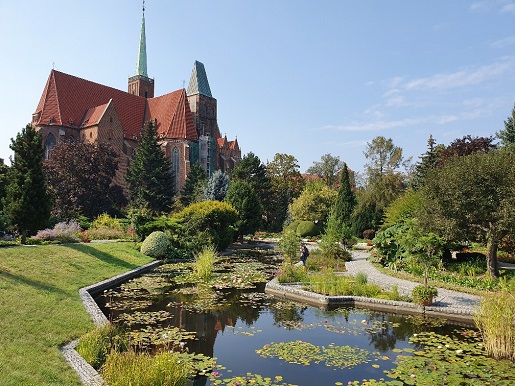 Ogród botaniczny Wrocław opinie atrakcje gdzie z dzieckiem na spacer