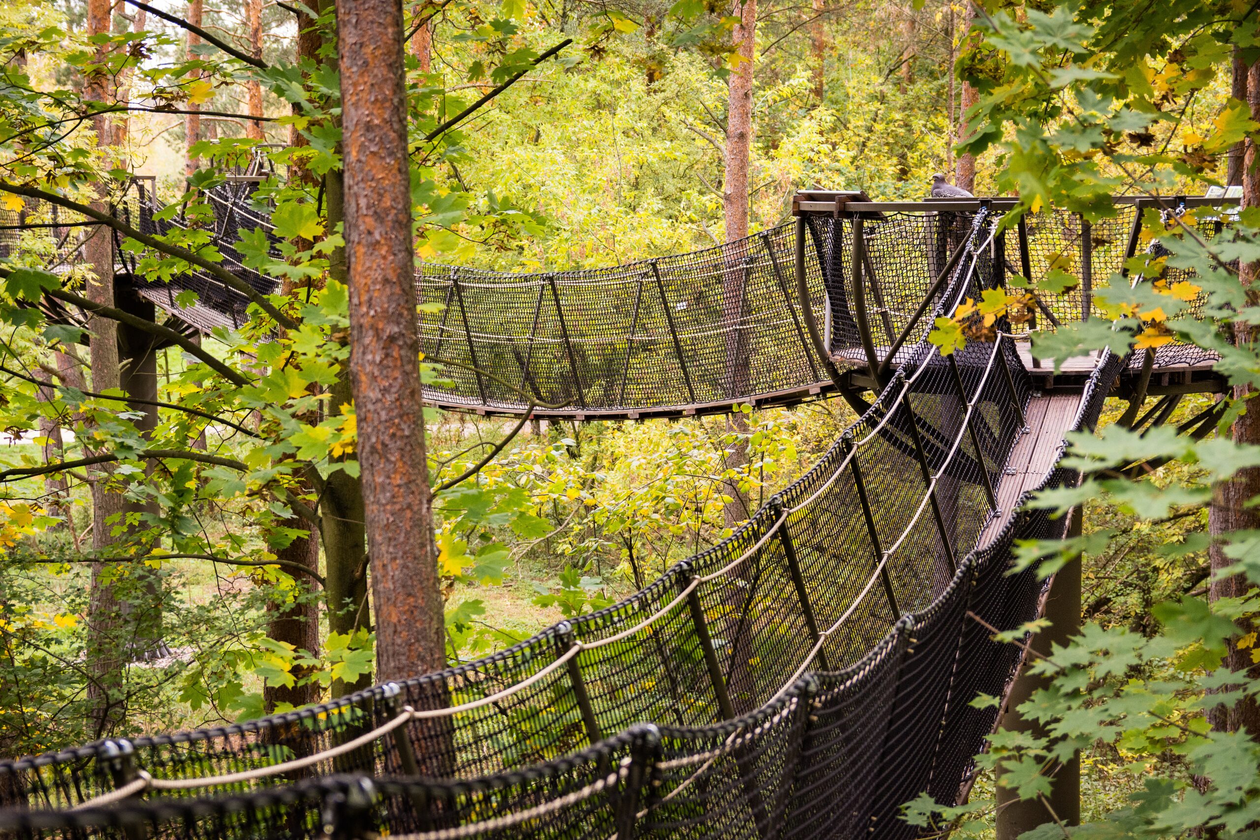 Park w Koronach Drzew – Dolina Wkry