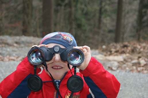 Pieszyce i okolice Gór Sowich – cd.