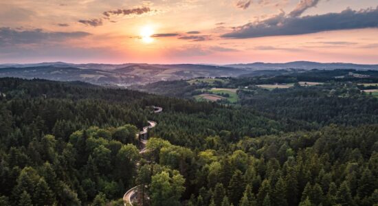 Ścieżka w koronach drzew Ciężkowice atrakcje co zobaczyć