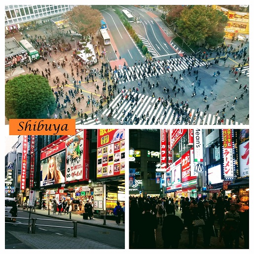Shibuya Japonia z dziećmi opinie zwiedzanie co zobaczyć ceny atrakcje