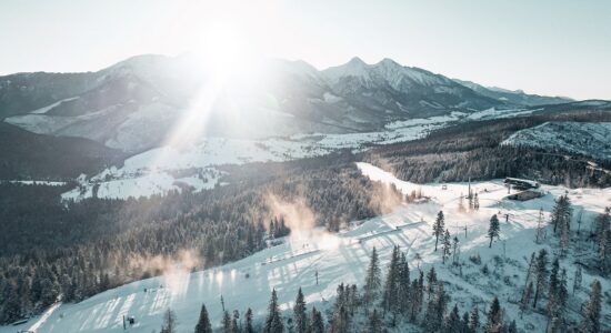 Słowacja gdzie na narty z dzieckiem nauka trasy Tatry Bachledka opinie