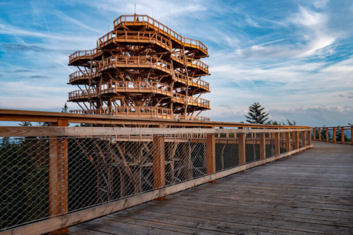 Wieża widokowa w koronach drzew –Krynica Zdrój Wieża widokowa w koronach drzew - dzieckowpodrozy.pl