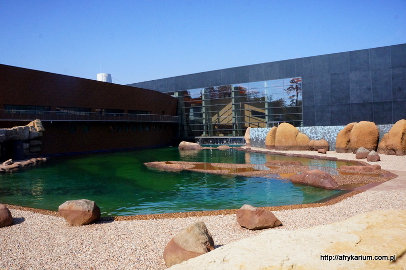 Afrykarium Wrocław – atrakcje, ceny, opinie atrakcje dla dzieci Wrocław